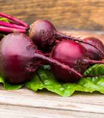 Řepa salátová červená kulatá - Beta vulgaris - semena řepy - 140 ks