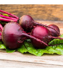 Řepa salátová červená kulatá - Beta vulgaris - semena řepy - 140 ks