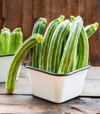 BIO Cuketa Green Tiger F1 - Cucurbita pepo - bio semena cukety - 5 ks