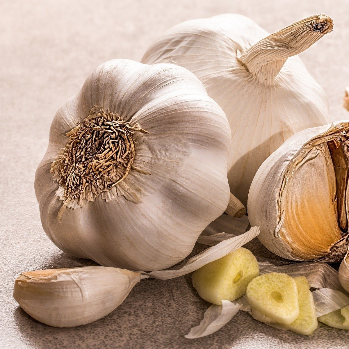 Sadbový česnek Lukan - Allium sativum - nepaličák - cibule česneku - 1 balení
