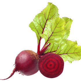 Cékla