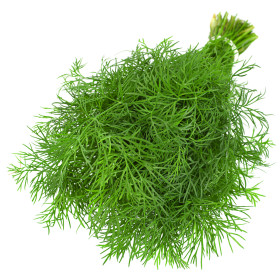 Híd
