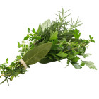 BIO fűszernövények