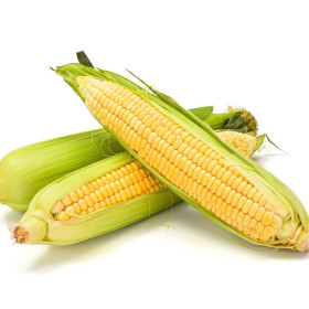 Kukorica