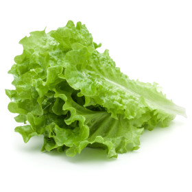 Saláta