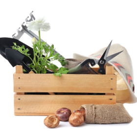 Jelenleg erre a hónapra