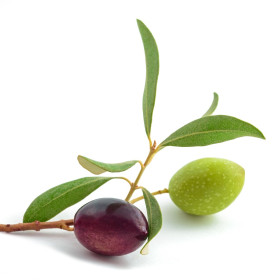 Olajfa