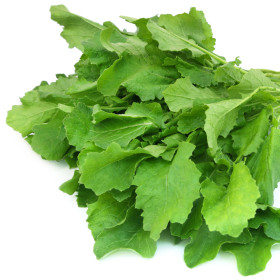 Mustár