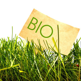 Termékek BIO minőségben