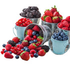 Gyümölcs/zöldség palánták