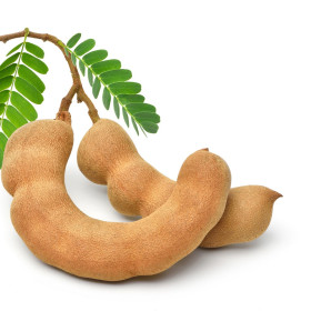 Egyéb termő fák