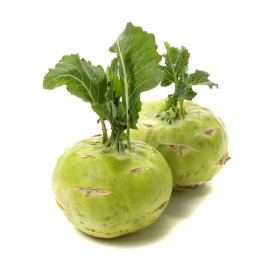 BIO Torma