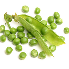 BIO Borsó