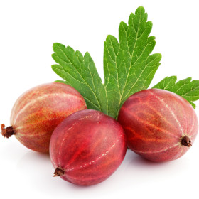 Egres