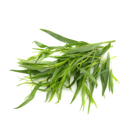 Üröm