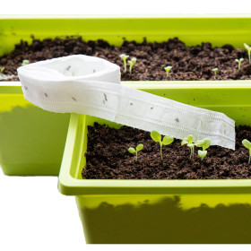 Virágok és gyógynövények vetőszalagjai