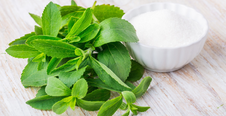 Stevia – édes fű