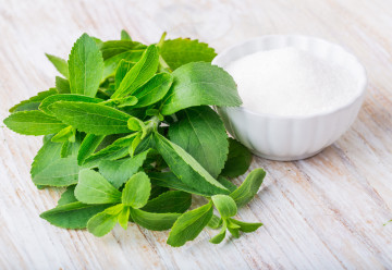 Stevia – édes fű