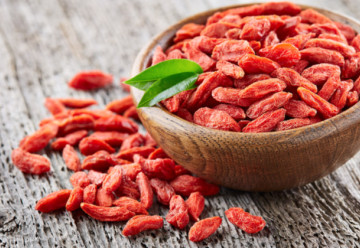 Gyógyhatású termésű cserje – a goji, más néven kínai goji