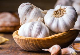 Fokhagyma – betakarítás, szárítás és tárolás