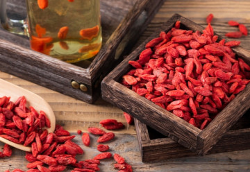 Kínai goji – egy csoda a kertedben